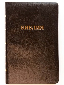 Библия. Синодальный перевод 056MTiG ИИЖ среднего формата на молнии (цвет чёрный) 215 х 145 мм