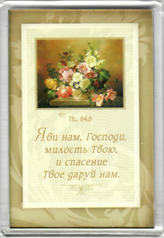Магнит
