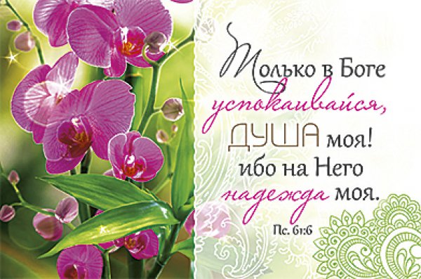 Магнит