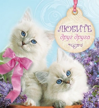 Блокнот. Любите друг друга